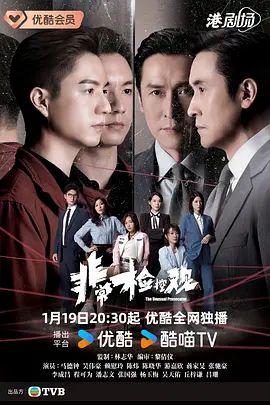 非常检控观国语电视剧